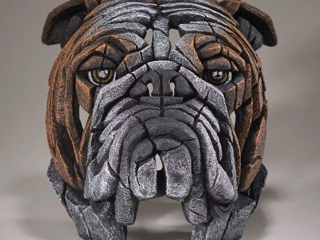 Bull Dog Bust For Cheap