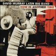 MURRAY, DAVID - NOW IS ANOTHER TIME (CD) on Sale