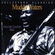 MUDDY WATERS - HOOCHIE COOCHIE MAN (CD) Cheap