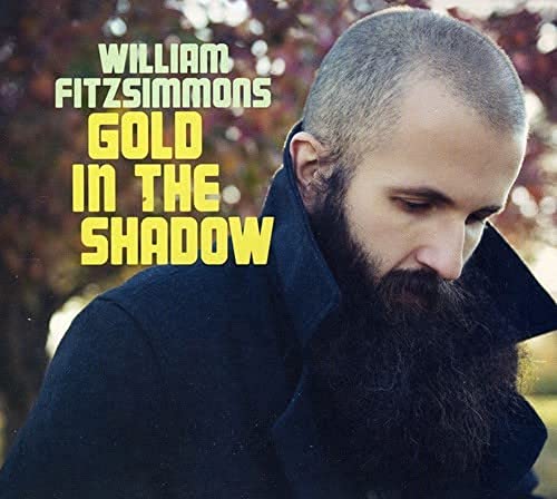 FITZSIMMONS, WILLIAM - GOLD IN THE (DLX) SHADOW (CD) Cheap